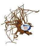 Superfish Natural Spiderwood - Medium (30-40cm) - Buy Online on SooperMarket.com