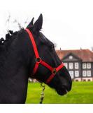 Horse delinis halter foal halter for mini shetty halter for wooden horse- foal halter twice adjustable on chin and neck pieces (red foal) red foal - Buy Online on SooperMarket.com