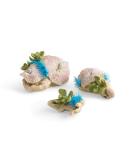 biOrb Plate Corals & Button Polyps Set Record corals - Buy Online on SooperMarket.com
