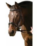 Henri de Rivel Black Padded Raised Dressage Bridle with Crank Noseband for Horse - Buy Online on SooperMarket.com