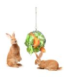 Fewao Stainless Rabbits Feeding Grass Ball Sphere Treat Hay Feeder Dispenser Hanging Ball Rabbit Chinchilla Guinea Pig Chicken Toys for Small Animals - Buy Online on SooperMarket.com