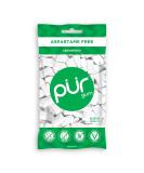 PUR Gum Sugar Free Chewing Gum with Xylitol, Aspartame Free + Gluten Free, Vegan & Keto Friendly - Natural Spearmint Flavored Gum, 55 Pieces (Pack of 1) Spearmint 55 Count (Pack of 1) - Buy Online on SooperMarket.com