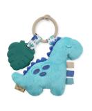 Itzy Ritzy Itzy Pal Plush Pal with Silicone Teether 0+ Months James The Dinosaur 1 Teether - Buy Online on SooperMarket.com
