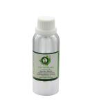 R V Essential Pure Chaulmoogra Carrier Oil 300ml (10oz)- Hydnocarpus Wightiana (100% Pure and Natural Cold Pressed) - Buy Online on SooperMarket.com