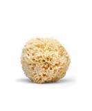 LATHER Natural Sea Wool Sponge | Self Care | Shower and Bath Sponge | Natural Loofah | Sea Sponge for Body Care | One Large Sea Sponge Perfect for Facial Cleansing and Body Wash Sponge - Buy Online on SooperMarket.com