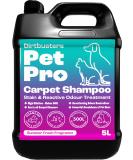 Dirtbusters Pet Pro Carpet Cleaner Shampoo Solution Deep Cleaning Stain Remover With Odour Neutraliser To Remove Dog & Cat Urine Carpet Cleaner Solution For Carpet Shampoo Machines (5L) 5 l (Pack of 1) - Buy Online on SooperMarket.com