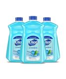 Dial Antibacterial Liquid Hand Soap Refill, Spring Water, 52 Fluid Oz, 3 count (Pack of 1) - Buy Online on SooperMarket.com