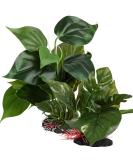 Artificial aquarium plants decoration 2 pieces (23cm + 18cm high) plastic plants aquarium artificial aquatic plants aquarium plants large for aquarium at home office office - Buy Online on SooperMarket.com