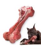 Masbrill dog toys Insmercated Kielzeiten for large medium-sized robust dog toys for aggressive chewing interactive natural rubber dog toys for boredom l red-2 - Buy Online on SooperMarket.com