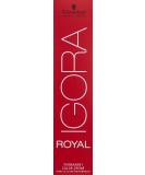 Shwarzkopf Royal IGORA Permanent Hair Color 6-00 (1 x 60 g) 6-00 Dark Blonde Natural Extra 60 g (Pack of 1) - Buy Online on SooperMarket.com