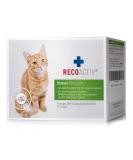 Recoactiv immune tonic for cats appetite stimulating diet supplementary feed for underweight deficiency symptoms disturbed food intake and in convalescence 3 x 90 ml 3 x 90ml - Buy Online on SooperMarket.com
