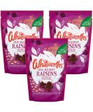 Dried Fruit Bundle with Whitworths Raisins 325g (3 Pack) - Buy Online on SooperMarket.com