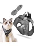 Buy Cat Dishes & Harness Set | Outdoor Leash & Bowls for Cats & Dogs - International Shipping - Buy Online on SooperMarket.com