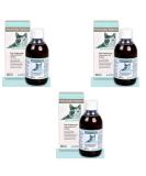 Alfavet Reconvales Tonic for Cats | 3 Pack (3 x 280 ml) | Dietary Supplement for Convalescence & Hepatic Lipidosis | International Shipping Available - Buy Online on SooperMarket.com
