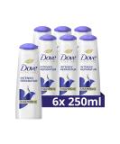 Dove Shampoo Intensive Repair 250ml - Smart Repair System for Damaged Hair (6 Pack) | International Shipping Available - Buy Online on SooperMarket.com