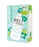 Cupper Bio Cold Water Infusers - Mint & Citrus | 10 Eco-Friendly Fairly Traded Cold Brew Tea Bags - Buy Online on SooperMarket.com