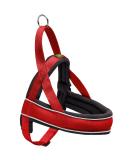 Buy HUNTER RACING Norwegian Harness | Size S (42-53 cm) | Red/Black | International Shipping Available - Buy Online on SooperMarket.com