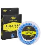 SF Fly Fishing Floating Line | Welded Loop Weight Forward Fly Line 90FT WF2-WF9F Sky Blue - Buy Online on SooperMarket.com
