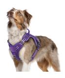 Rabbitgoo Adjustable Dog Harness for Medium Dogs - Durable Tactical Wear-Resistant with Metal Buckles & Handles - Perfect for Hiking (Purple M) - Buy Online on SooperMarket.com