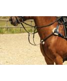 Windsor Equestrian Horses Leather 5 Point Breastplate Black Full - Buy Online on SooperMarket.com