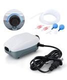HITOP Dual Outlet Aquarium Air Pump Whisper Adjustable Fish Tank Aerator Quiet Oxygen Pump with Accessories for 20 to 100 Gallon (2 outlets) - Buy Online on SooperMarket.com