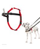 Company of Animals HALTI Front Control Harness Size Medium Professional Dog Harness to Stop Pulling on the Lead Easy to Use Anti-Pull Training Aid Front Leading No Pull Harness for Medium Dogs - Buy Online on SooperMarket.com