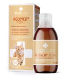 Recoactive Renal for Cats - High-Caloric Diet 280ml | Kidney Support & Weight Gain - Buy Online on SooperMarket.com