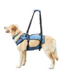 COODEO Adjustable Dog Lifting Harness - Breathable Support & Recreation Loops for XXL Pets - Ideal for Rehabilitation & Disabled Dogs - Buy Online on SooperMarket.com