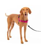 Buy PetSafe Easy Walk Harness - Anti-Pull Dog Harness (Size M Pink) with 1.8M Leash | Reduces Choking & Coughing - Shop Internationally! - Buy Online on SooperMarket.com