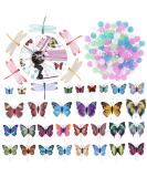 WINOMO 108pcs Luminous Bicycle Wheel Spoke Beads with 30pcs Butterflies Clips and 6pcs Dragonflies Clips - Buy Online on SooperMarket.com