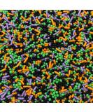 Halloween Mixed Sprinkles - 35g of Black Green Orange & Purple Cake Sprinkles Toppers Decorations 100s 1000s Mini Balls Nonpareils Strands Spooky Mx - Buy Online on SooperMarket.com