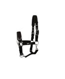 Buy JF-Reitsport Cavesson Pro 2021 | 4-Way Adjustable Soft & Shock-Absorbing for Minishetty | International Shipping Available - Buy Online on SooperMarket.com