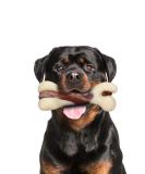 Tikaton Indestructible Dog Chew Toys - Real Beef Flavor for Large, Medium & Small Puppies | Durable Teething Bones for Aggressive Chewers - Buy Online on SooperMarket.com