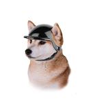 Dog & Cat Motorcycle Helmet - Safety Hard Hat for Pets 17lb-27lb | Black Outdoor Protection - Buy Online on SooperMarket.com