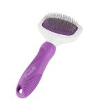 Poodle Pet Slicker Brush for Small and Large Dogs | Effective Hair Remover for Tangles, Mats, and Loose Hair | Suitable for Short or Long Hair - Grooming Brush - Buy Online on SooperMarket.com