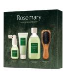 AROMATICA Rosemary Scalp Scaling Trial Kit with Mini Wooden Hair Brush - Clearer, Dandruff-Free Hair - Plant-Based Vegan Shampoo - 3.38 fl. oz Shampoo + 1.01 fl. oz Root Enhancer & Scalp Scrub - Buy Online on SooperMarket.com