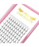 Pre Made Fan Eyelash Extensions 4D-C-0.10-11mm Short Stem Premade Fans Eyelash Extension Pre Fanned Russian Volume Lashes 0.07 0.10 Lash Extensions (4D-C-0.10-11) 11 mm 4D-C-0.10 - Buy Online on SooperMarket.com