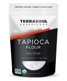 Terrasoul Superfoods Organic Tapioca Flour Starch 2.5 Lbs - Gluten-free  Improves Texture for Keto Baking  Doesnt Alter Flavor - Buy Online on SooperMarket.com