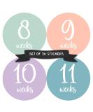 Pregnancy Weekly Belly Growth Stickers - Maternity Keepsake - Set of 36 Week by Week Pregnancy Photo Props - Buy Online on SooperMarket.com