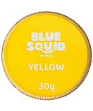 Blue Squid PRO Face Paint - Classic Yellow 30gm - Professional Water Activated Face & Body Paint for Halloween & SFX - Buy Online on SooperMarket.com