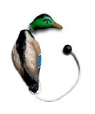 AUSCAMOTEK Duck Dummy Bumper for Waterfowl Hunting Retriever Dog Training Soft Durable Floating - Buy Online on SooperMarket.com