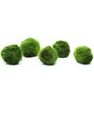 k2aqua 5 Marimo Moss Balls Always Fresh Live Aquarium Plant Cladophora aegagropila - Buy Online on SooperMarket.com