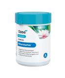 Oasis 43138 aquaactiv biokick 200 ml for 10 000 l pond bacteria starter bacteria for fish pond garden pond Schwiebeich 200 ml single - Buy Online on SooperMarket.com