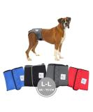 Procedure Pants for Dogs 2.0 - High-Quality Neoprene Dog Diapers for Males | Comfortable & Breathable | Size L - Gray - Buy Online on SooperMarket.com