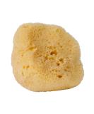 Croll & Denecke Natural Sponge - Premium Eco-Friendly Sponge for Bath & Skincare | International Shipping Available - Buy Online on SooperMarket.com