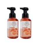 Bath and Body Works Aromatherapy Energy Orange Ginger Hand Soap 2 Pack - 8.75 Fl Oz - Buy Online on SooperMarket.com