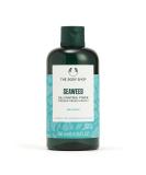 Buy The Body Shop Seaweed Oil-Balancing Toner - 100% Vegan Facial Toner 8.4 Fl. Oz | International Shipping Available - Buy Online on SooperMarket.com
