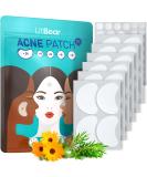 LitBear 84 Patches 5 Size Acne Patches Large Hydrocolloid Pimple Patches for Large Breakouts Zit and Blemish Large Acne Patches for Face Chin Back and Body with Tea Tree Oil - Buy Online on SooperMarket.com