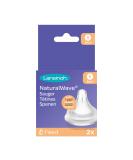 Lansinoh NaturalWave teats size S - slow milk flow 2 pieces (1 pack) 2 pieces (1 pack) transparent Single - Buy Online on SooperMarket.com