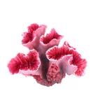 UEETEK pink corals for aquarium decoration - Buy Online on SooperMarket.com